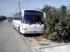 Пассажирские перевозки Автобусы и Микроавтобусы
