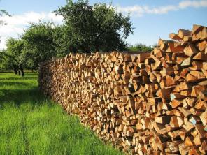 Берёзовые дрова в домодедово видное