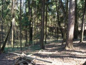 продам лесной участок в стародачном академическом поселке РАН Луцино
