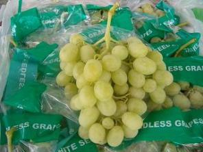 Предлагаю прямые поставки  винограда из Аргентины