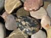 Голыш камень в ассортименте. Оптом ! Доставка !