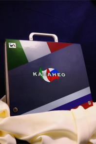 Пластиковые ручки для папок портфелей. Кнопки.