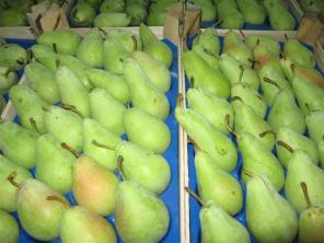 Продам персики и груши из Сербии