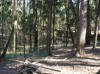 .продам лесной участок в стародачном академическом поселке РАН Луцино.